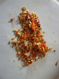 dry ghost pepper seeds