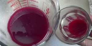 Steam juice on left, cold-pressed on right