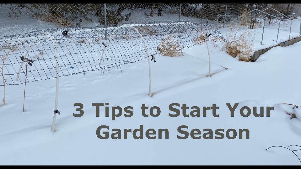 3 Tips to Start Your Garden Season