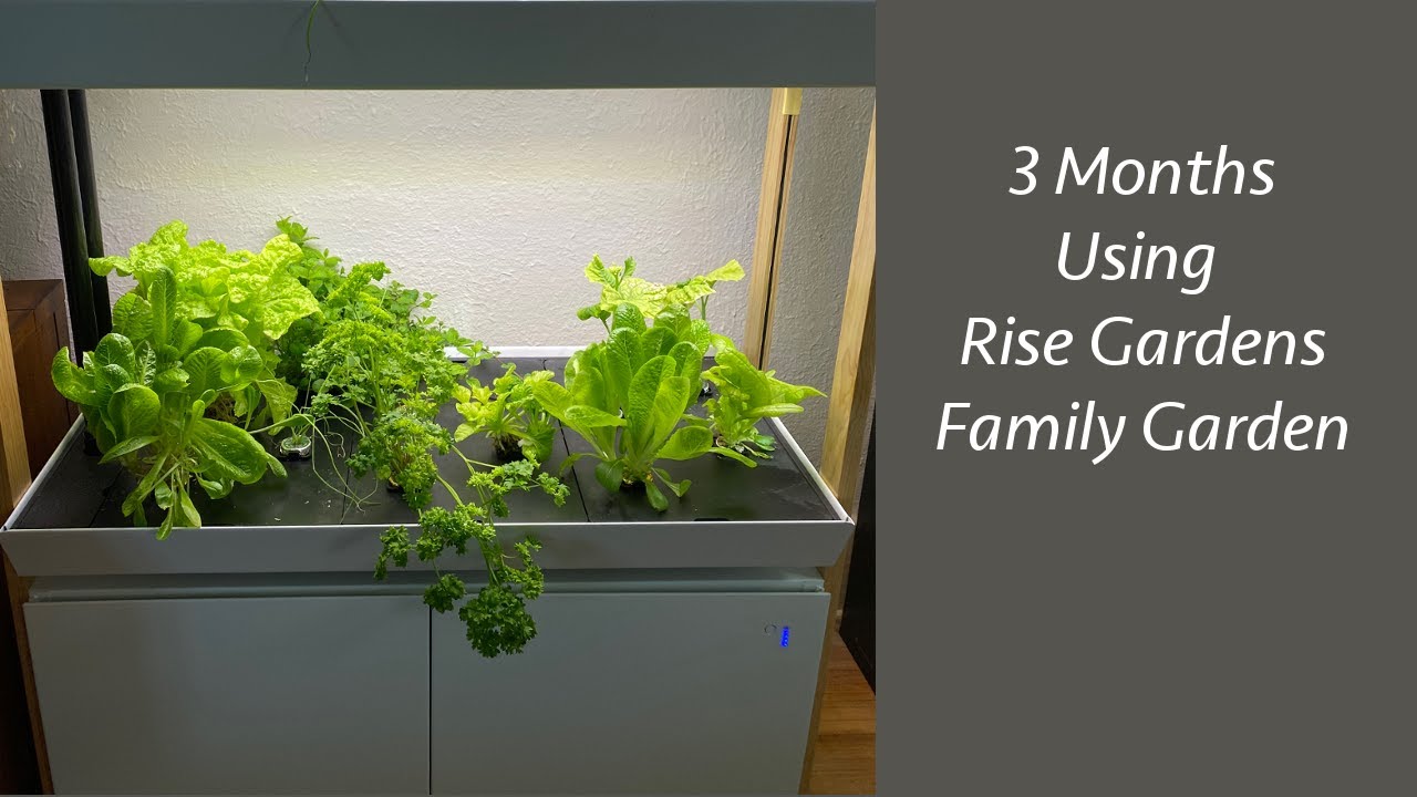 3 Months Using Our Indoor Rise Garden