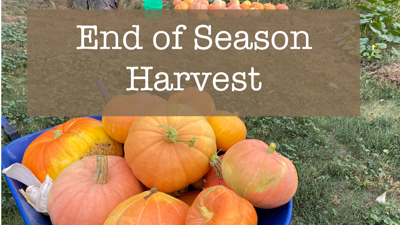 End of Season Harvest