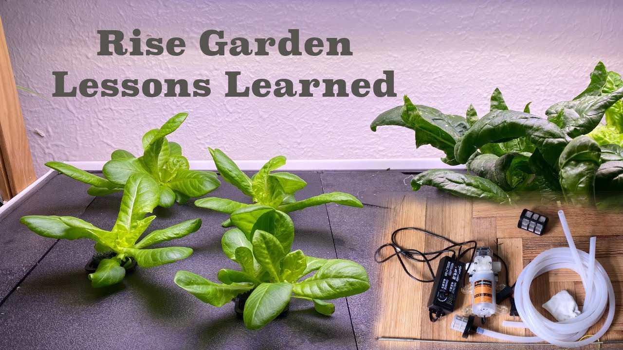 Rise Garden Lessons Learned