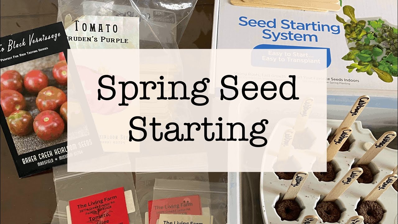 Spring Seed Starting